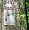 PICTURES/New River Gorge National River - WV/t_Emerald Ash Borer Notice1.jpg